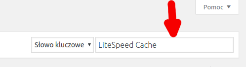 wordpress litespeed cache