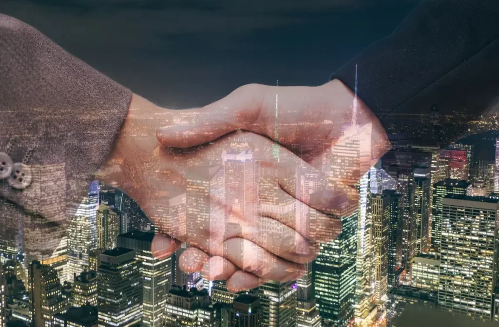 Program Partnerski